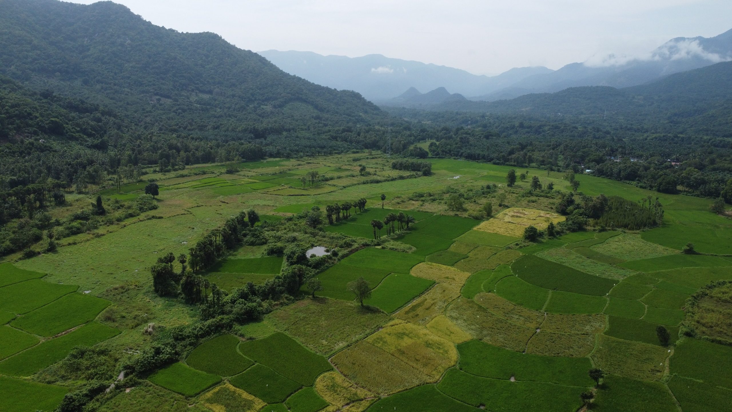 How TIF Can Help Rural Communities Build Vertiports Without Waiting for Washington