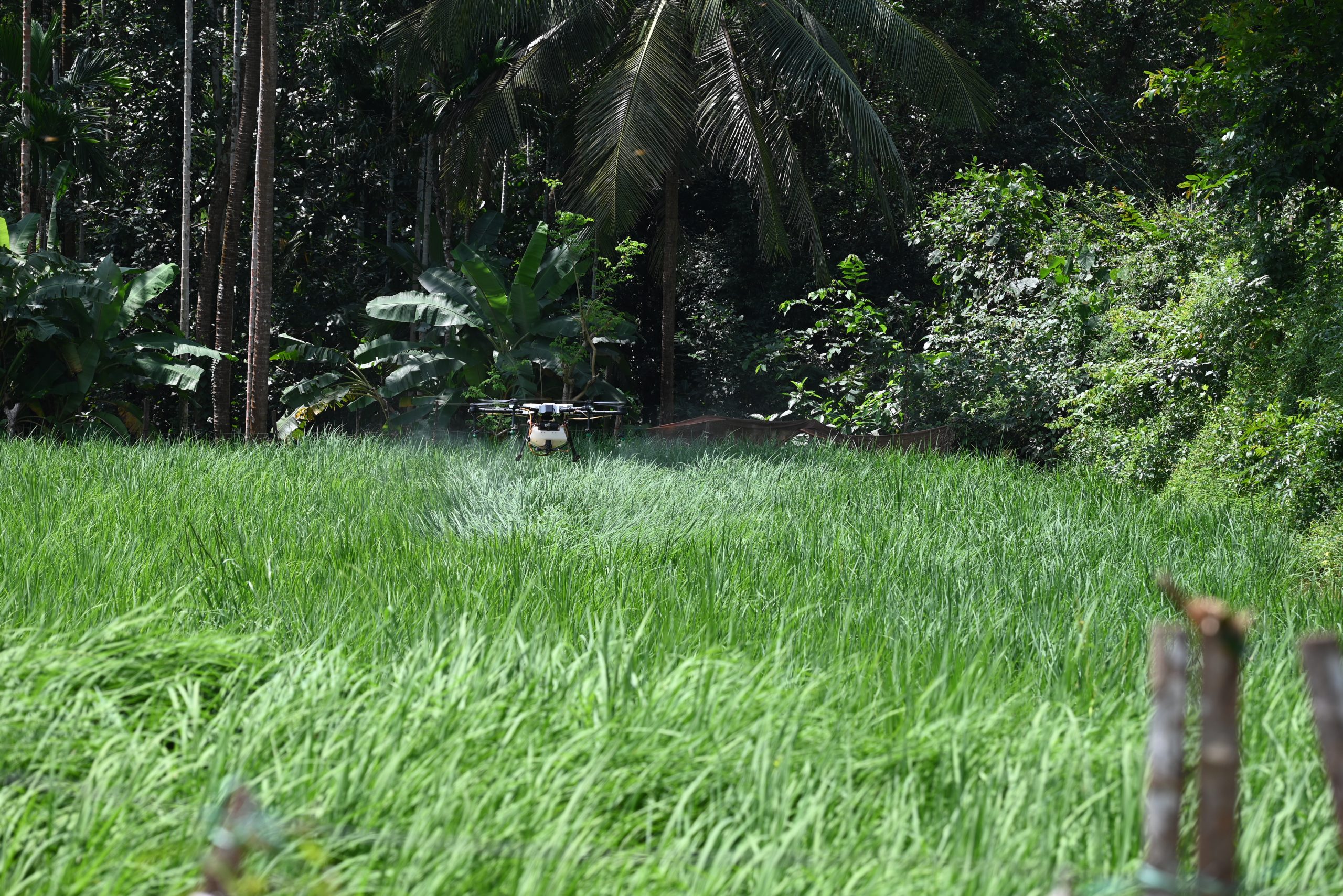 Agricultural drone spraying over a cultivated field